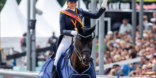 FRH | Sportpferde | Hannoveraner Verband | Foto: Fellner