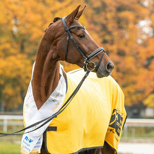 Stute des Jahres | Prämierungen Stuten | Pferdezucht | Hannoveraner Verband | Foto: Fellner